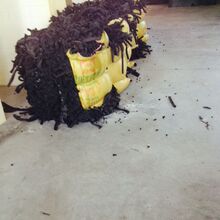 排球二传姚笛个人资料