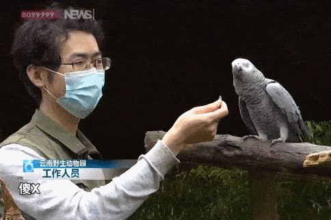 上海电信突发大范围断网 手机信号网络全无：官方致歉 已陆续恢复